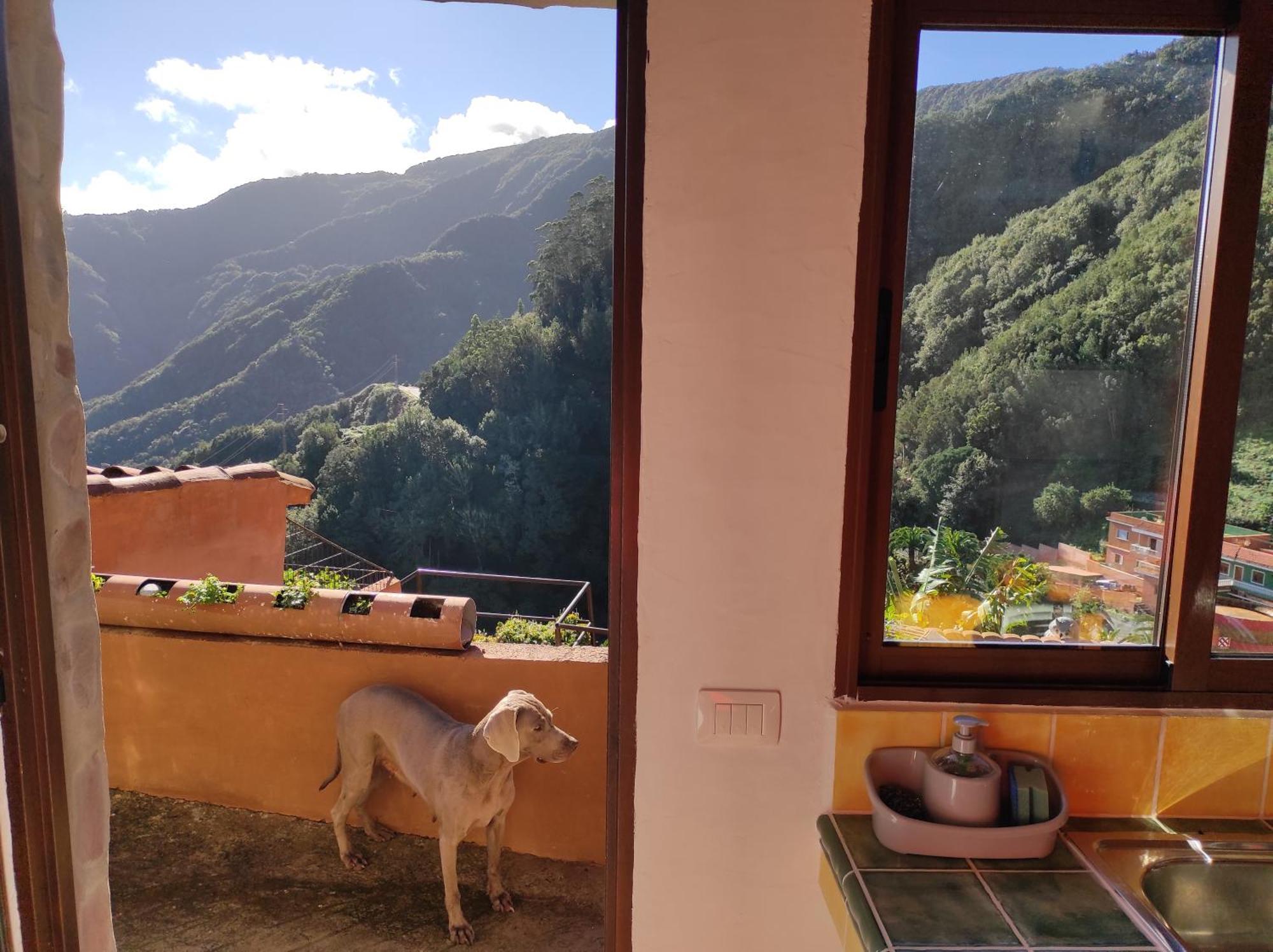 Casa Las Montanas De Anaga Ла Лагуна Екстериор снимка